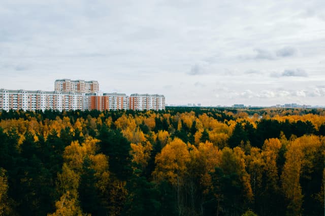 Aerial view of colorful autumn trees and residential buildings in Balashikha, Russia.