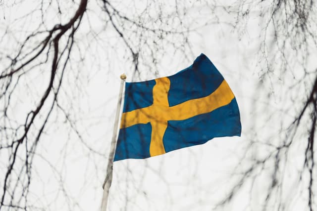 Swedish flag waving on a flagpole amongst bare branches in Jönköping, Sweden.