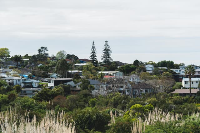 A peaceful suburban scene capturing the essence of Auckland's residential area with lush greenery and houses.