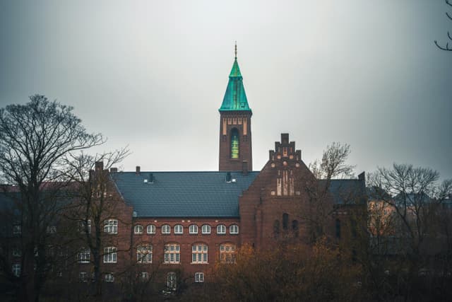 The Silent Sentinel of Copenhagen