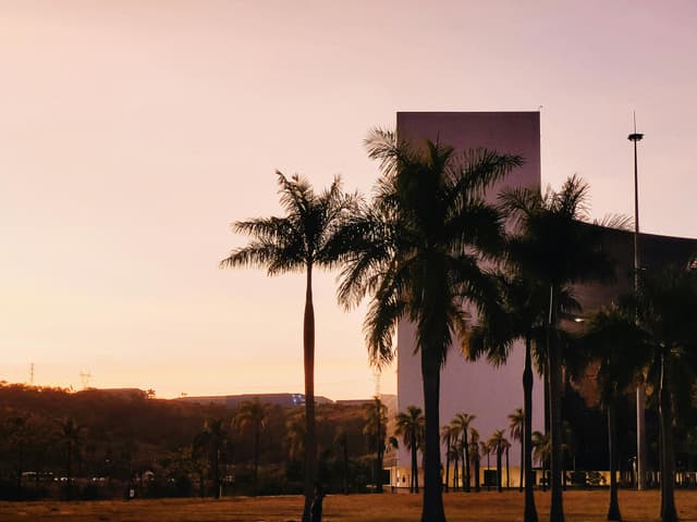A serene sunset view highlighting the silhouette of palm trees against an urban backdrop.