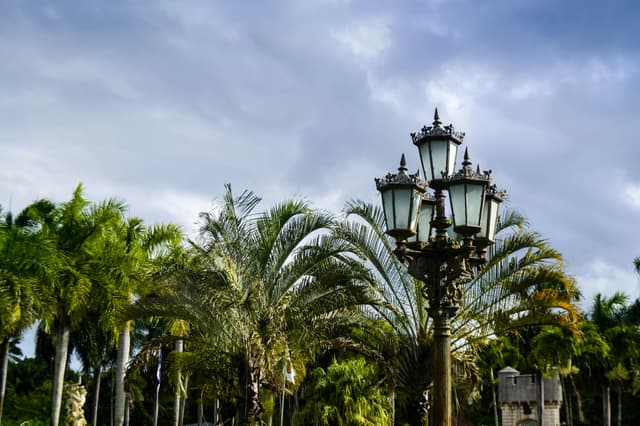 Decorative lamp post surrounded by lush palm trees under a cloudy sky in Brazil.